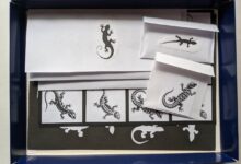 Photo of Топ-10 книг для развития интеллекта у детей 5-7 лет