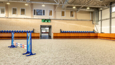 Photo of Как выбрать правильный детский манеж для игр